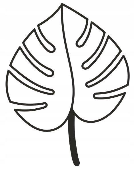 Тропические листья контур