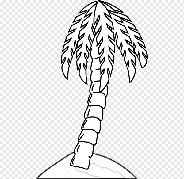 Пальма раскраска