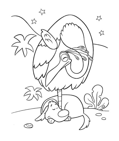 Раскраска птичка и собака