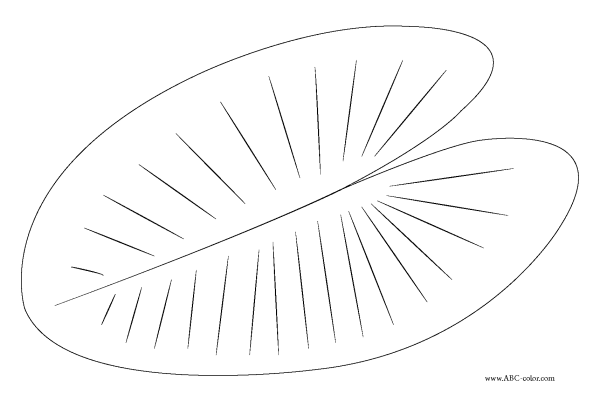 Кувшинка трафарет для вырезания