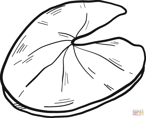 Coloured Lily Pads for Kids