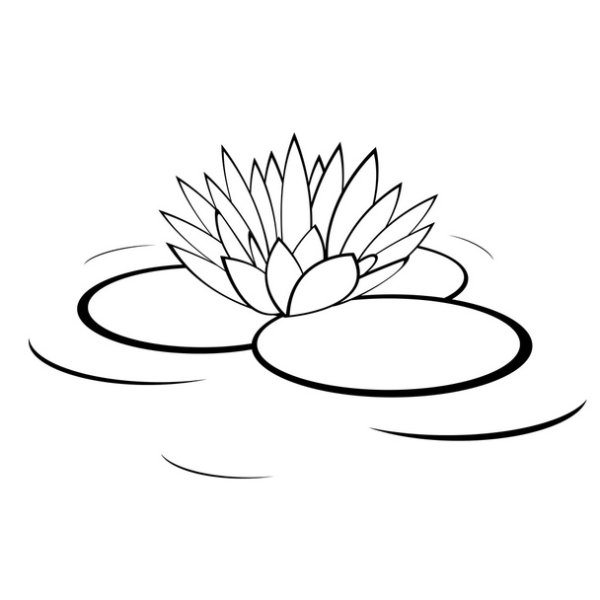 Кувшинка контур