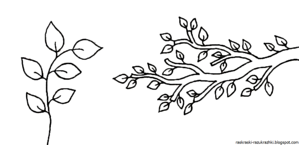 Ветка дерева раскраска для детей