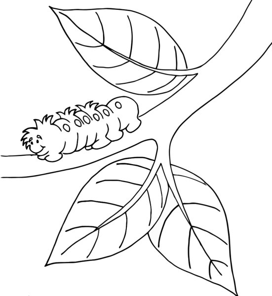 Ветка раскраска