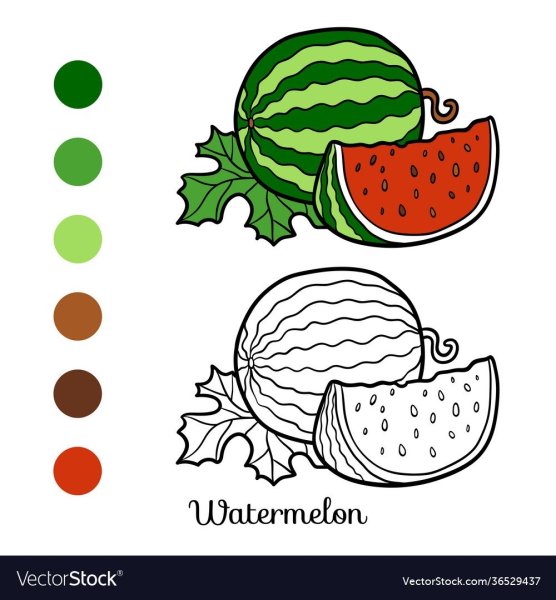 Арбуз и дыня бахчевые раскраска для детей