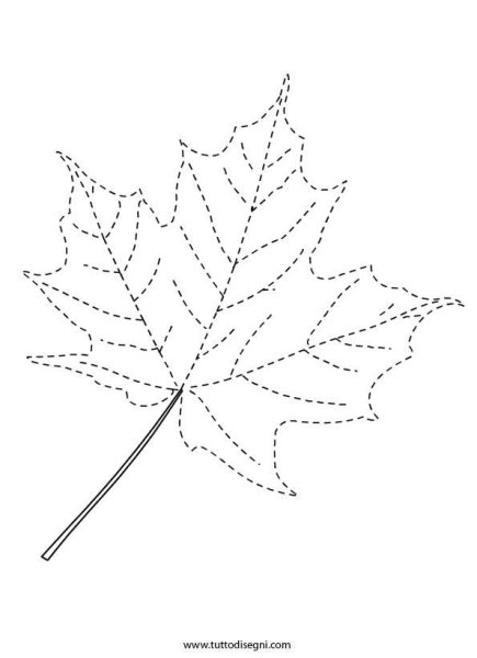 Листья обводка