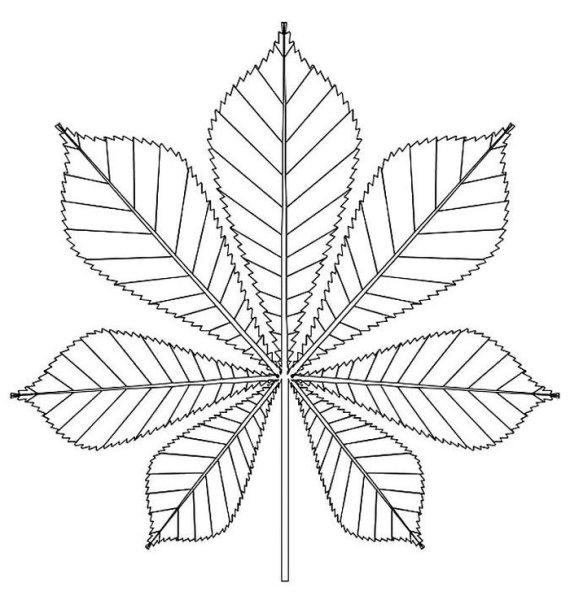 Каштановый лист трафарет для вырезания