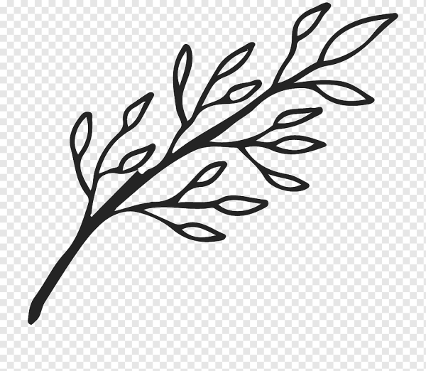 Нарисовать ветку