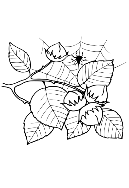 Орешник раскраска