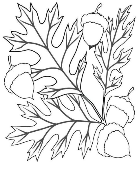 Букет из листьев раскраска