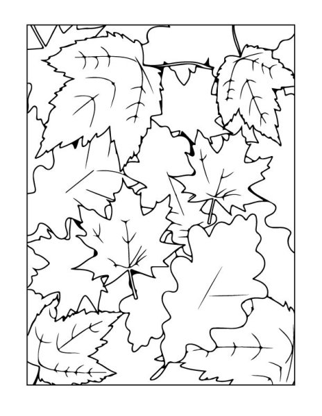 Осенний коллаж раскраски