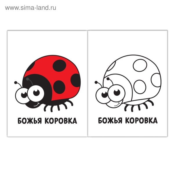 Божья коровка раскраска с образцом