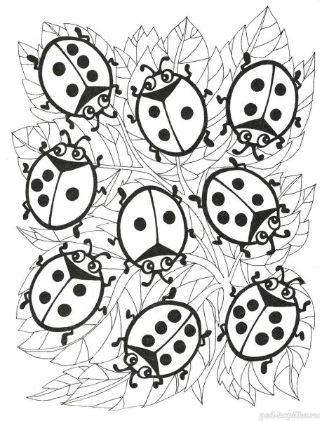 Божья коровка раскраска для детей