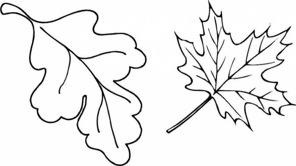 Листья раскраска