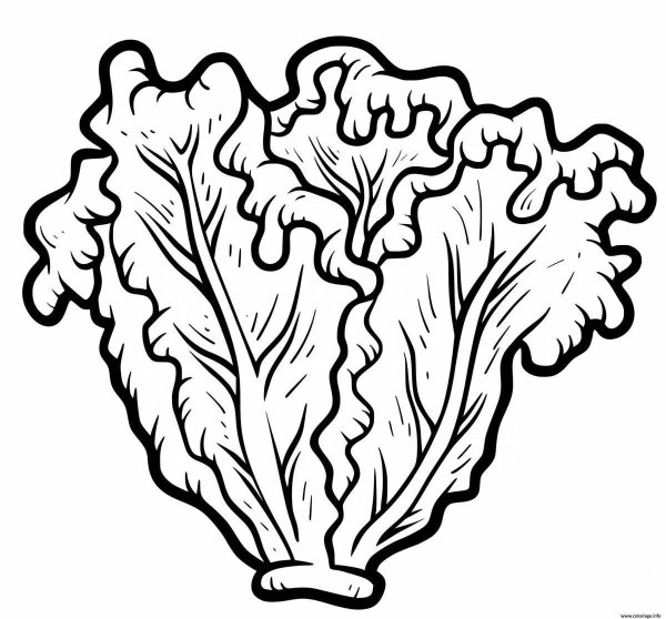 Листья салата