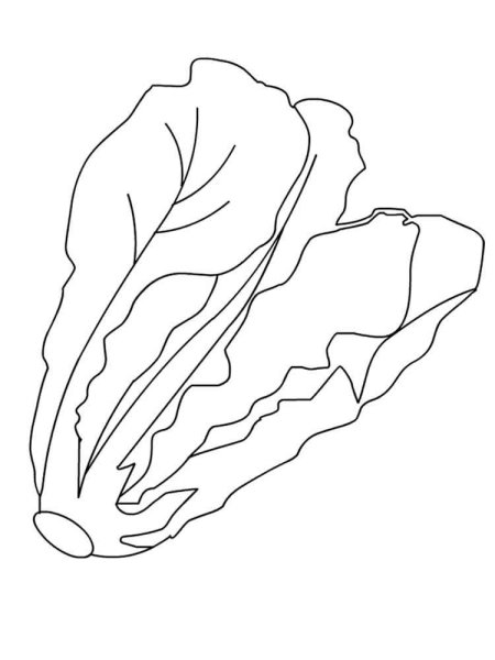 Салат раскраска