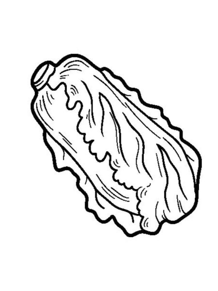 Салат раскраска для детей