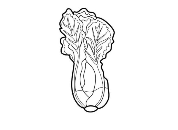 Раскраска салат листовой