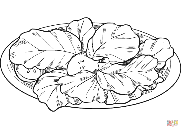 Лист салата раскраска