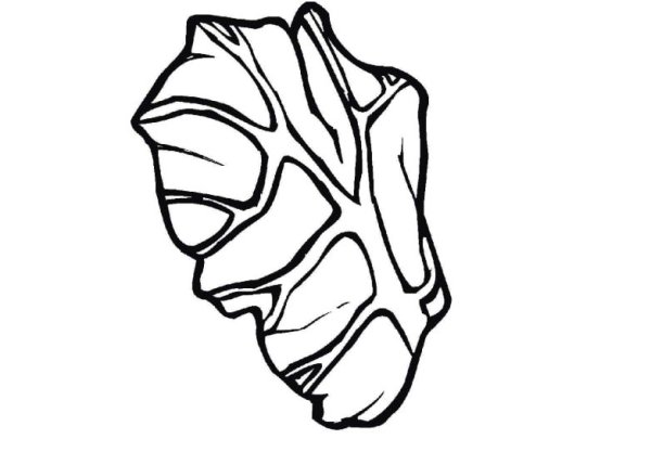 Листья салата