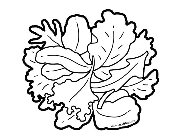 Лист салата вектор