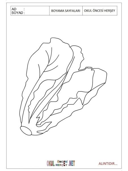 Салат раскраска