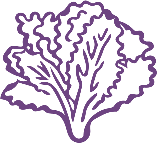 Лист салата вектор