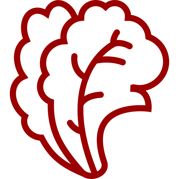 Лист салата контур