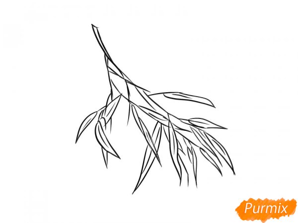 Лист ивы раскраска для детей