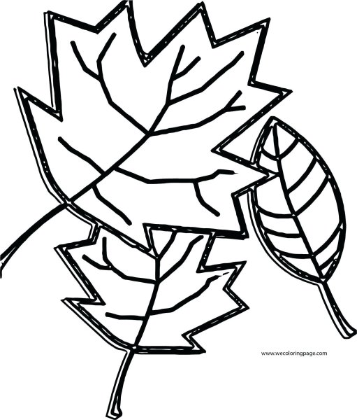 Осенний букет раскраска