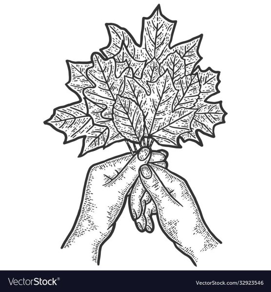 Букет из осенних листьев