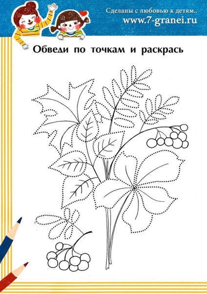 Осенний букет раскраска