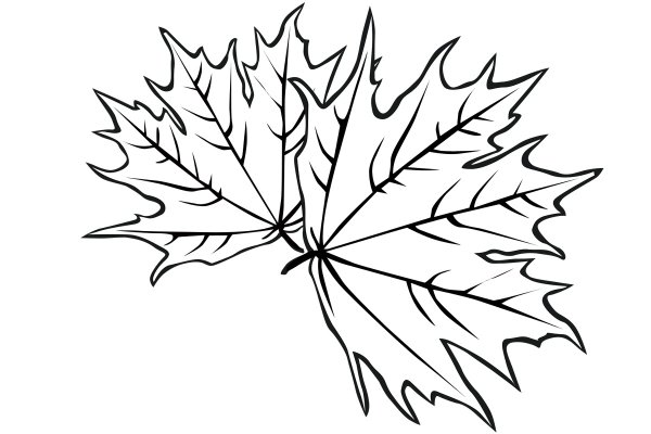 Кленовый листок раскраска для детей