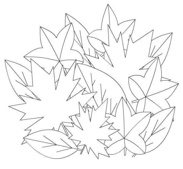 Осенний букет раскраска