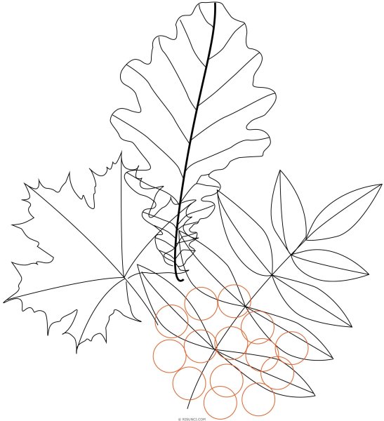 Осенний букет карандашом