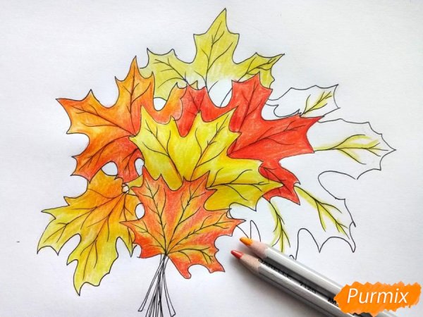 Кленовый лист рисунок