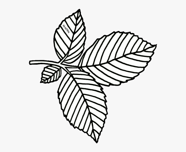 Лист каштана контур