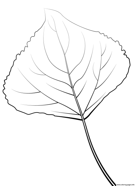 Лист тополя раскраска для детей