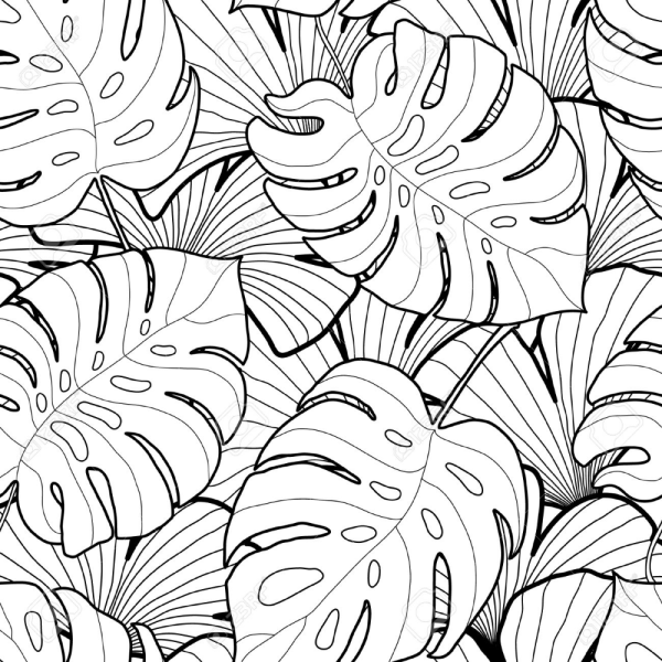 Тропические растения раскраска