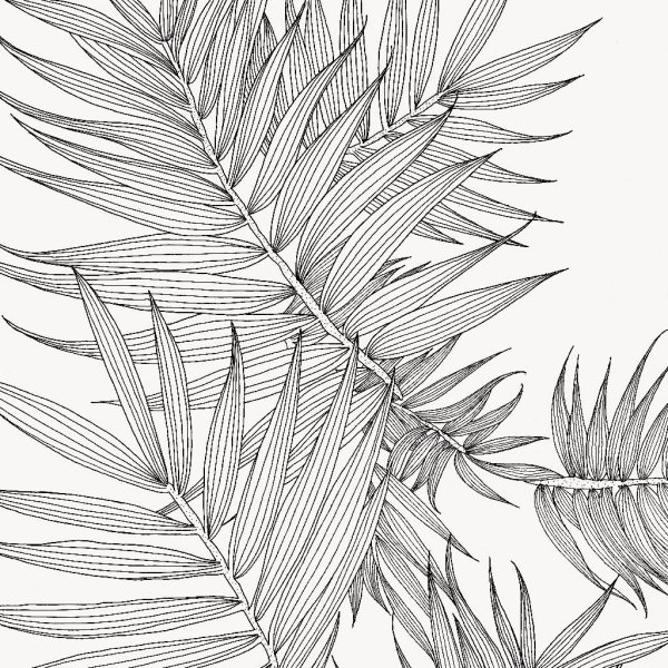 Листья эскиз