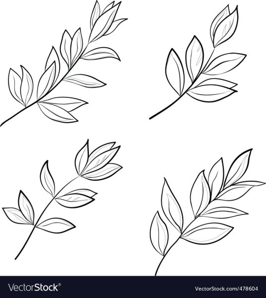 Веточка с листочками раскраска