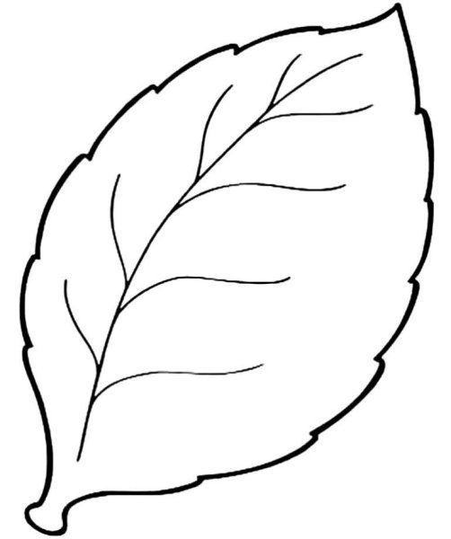 Лист яблони трафарет