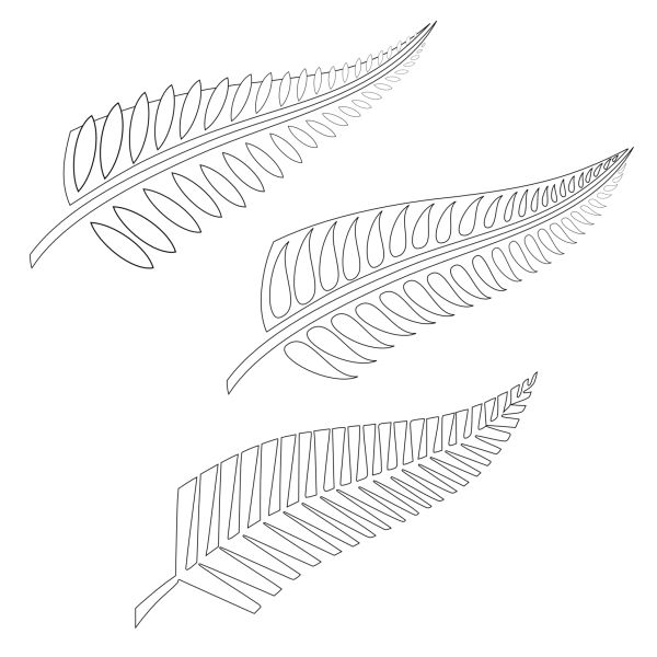 Папоротник раскраска