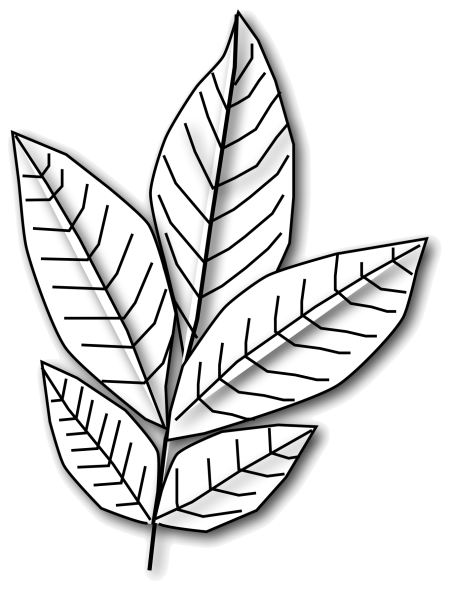 Трафареты "листья"