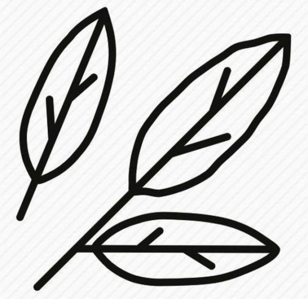 Лавровый лист