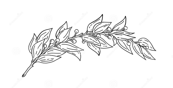 Лавровая ветвь контур