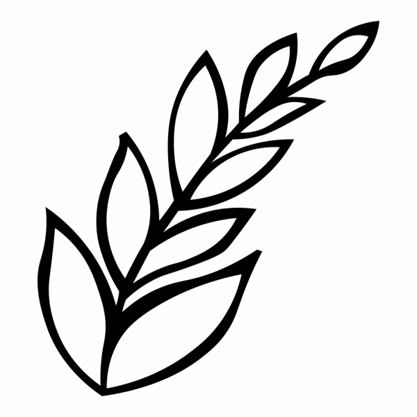 Ветка шаблон