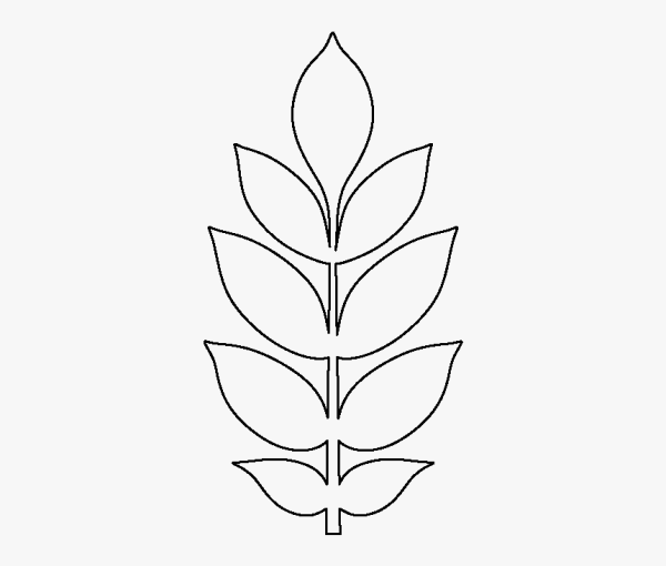 Шаблоны листьев цветов