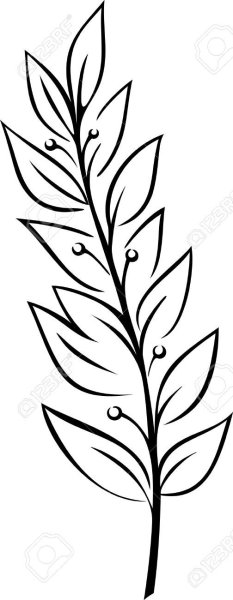 Лавровая веточка шаблон