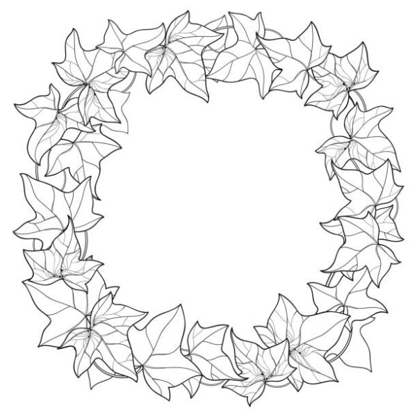 Плющ раскраска